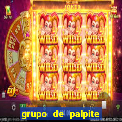 grupo de palpite de futebol telegram